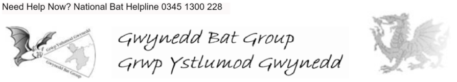 Gwynedd Bat Group - Grwp Ystlumod Gwynedd